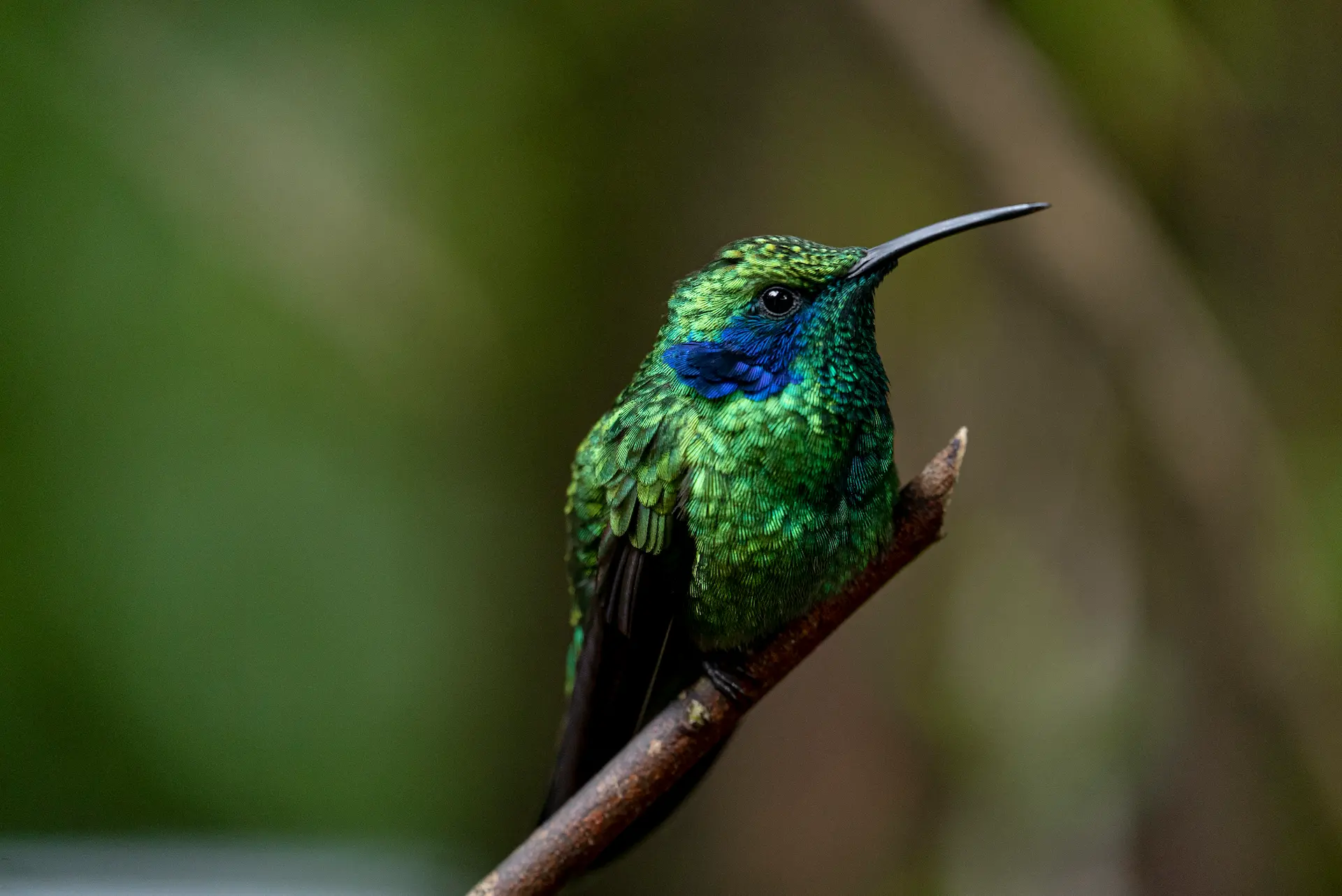 Biodiversity and Sustainable Food Systems - School for Field Studies