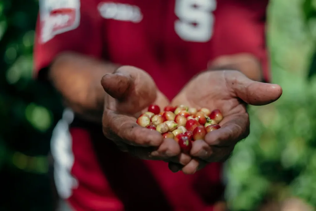 Environmental Justice from the Ground Up - School for Field Studies