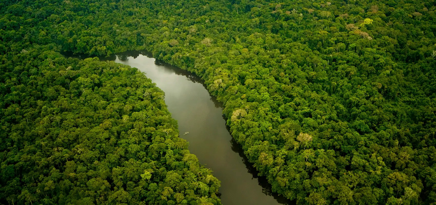 The Living Amazon - School for Field Studies